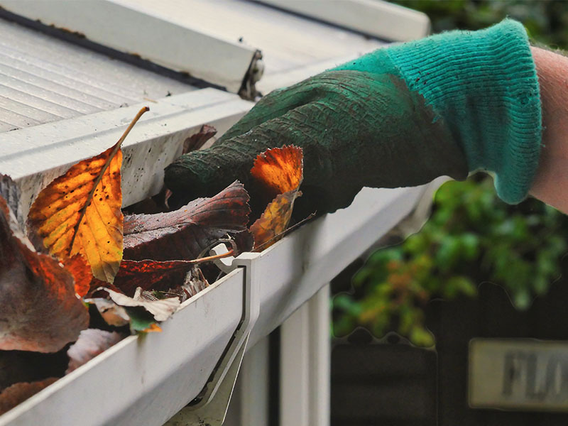 Closeup of leaves being removed from a residential home gutter system, showing the importance of gutter maintenance.